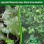 Garden Netting-131128279