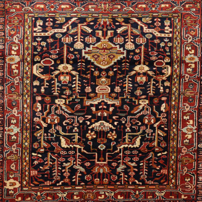 Oriental Indoor Rug