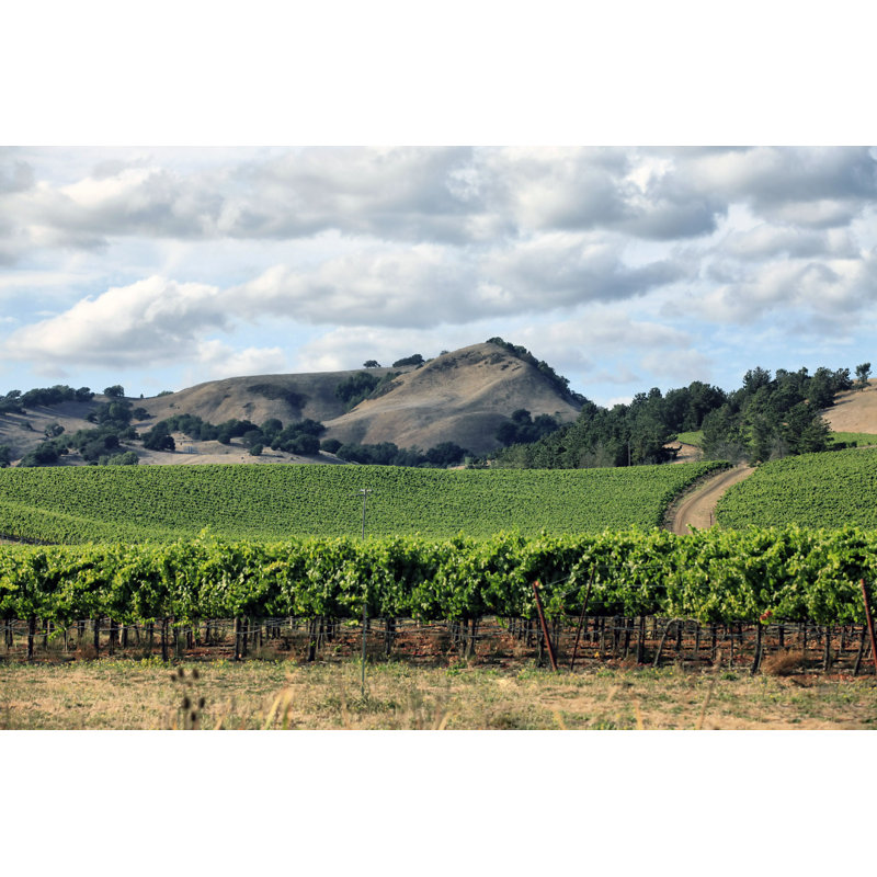 Napa Valley In California - Photographie sur toile tendue, H 20 po x l 30 po