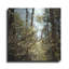 «Spring» par Kelly Sinclair-2130533541