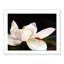 Dancer Print by JR Rapier-755736921-755736924