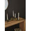 Oyster Mushroom Candleholder