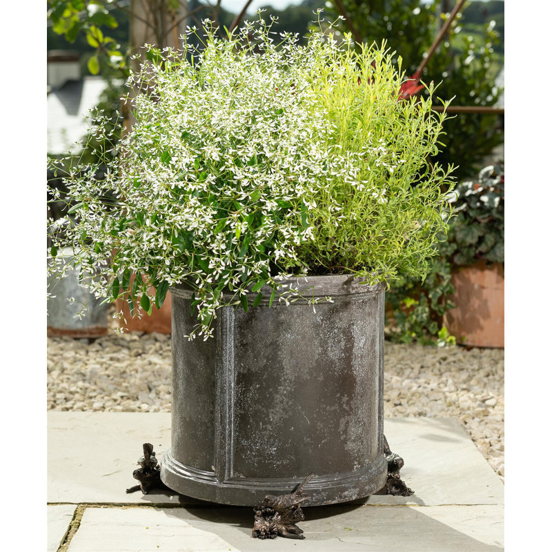 Zendaya Weather Resistant Planter Feet, Antique Bronze