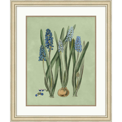 Sage and Blue Botanical 2