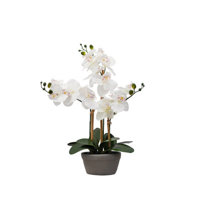 Silk Orchids Arrangement in Pot