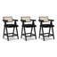 Coulten 25.5" Bar Stool