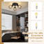 Aiela Spotlight-794169461