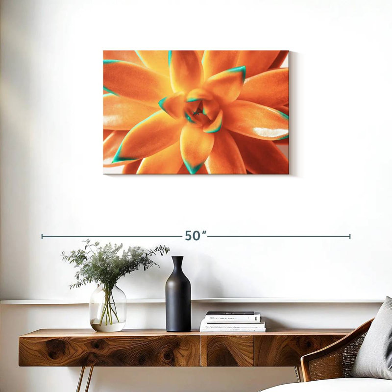 Plante grasse orange Harnek, H 20 po x l 30 po