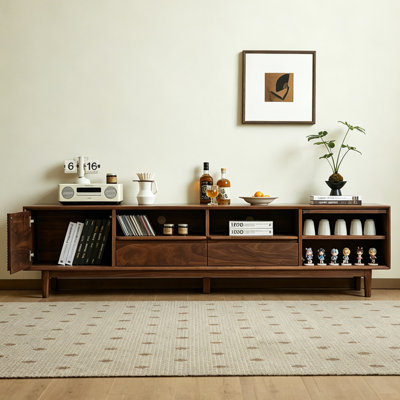 Modern multi-functional minimalist TV stand