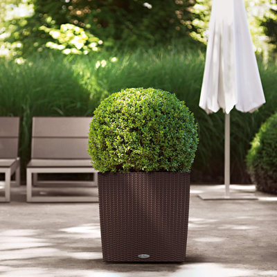 Moneak Planter Box