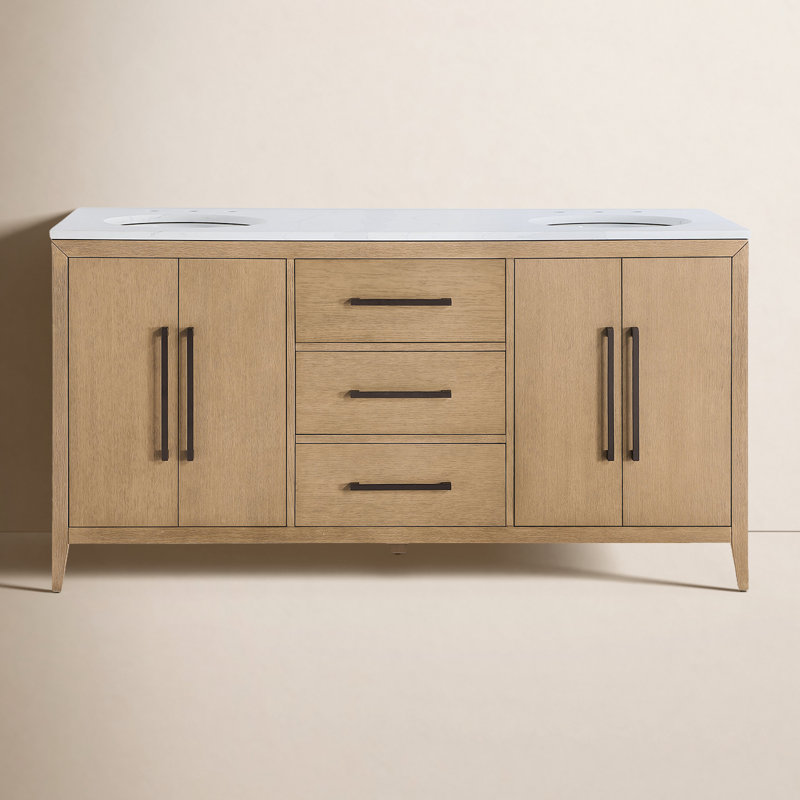 Alsup 66 in. Double Vanity