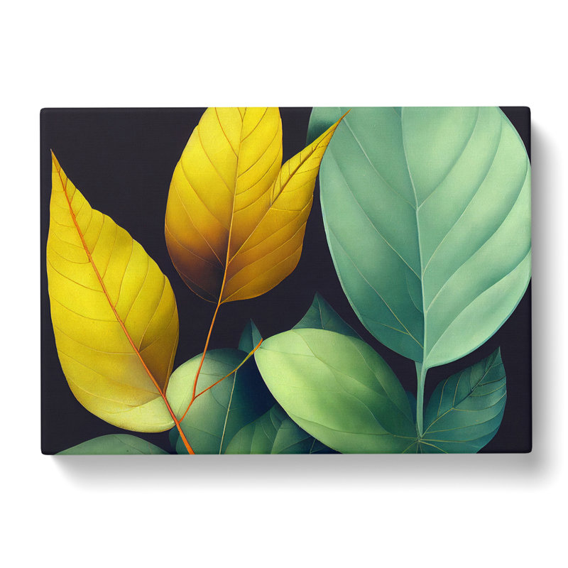 Victorious Leaf - Wrapped Canvas Print, 35cm H x 50cm W x 3cm D