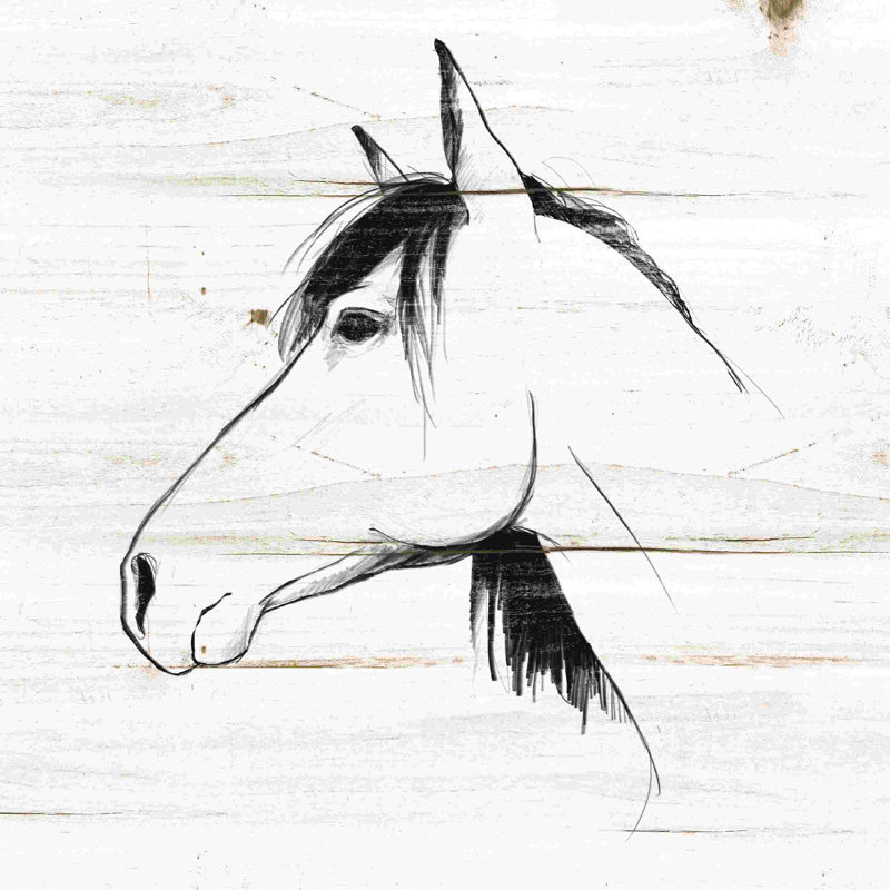 Cheval dessinant sans mots, L 20 po x H 20 po