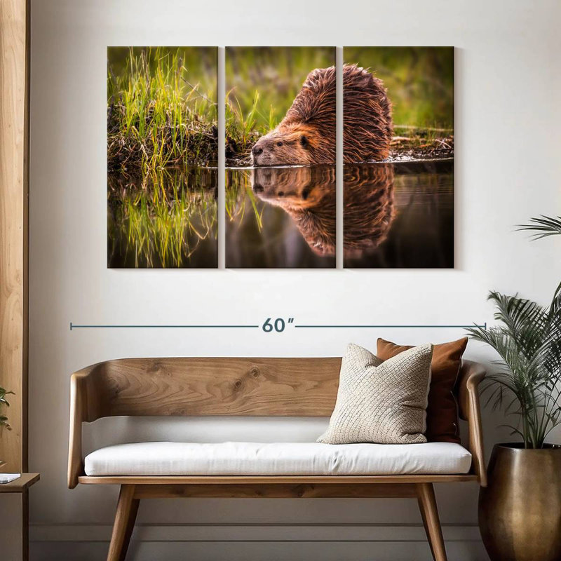 Brampt Beaver, 32" H x 50" W