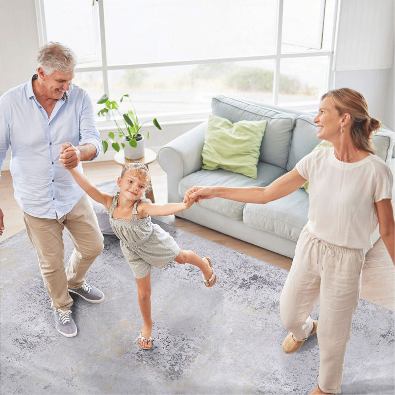 2'6''X10' Runner, Washable Rug, Low-Pile, Non-Slip, Non-Shedding, Foldable, Kid & Pet Friendly - Area Rugs For Living Room, Bedroom, Kitchen, Dining Room Rug