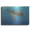 Art mural en métal «Ocean Sea Turtle II» par Tim O'Toole-101629890