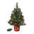 Classic Greenery with Clear Lights selected