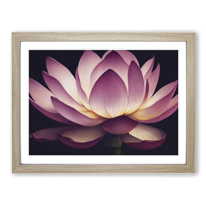 Intriguing Lotus Flower - Framed Print, 25cm H x 34cm W x 2cm D, Oak