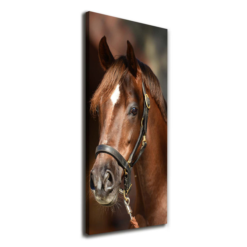 Portrait Of A Horse - Wrapped Canvas Print