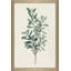 Victorian Garden Greenery I - Peinture-45359686-45359694