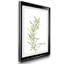 Fresh Sprig Rosemary - Cadre photo, reproduction d'art sur papier-1172013061-1121506700