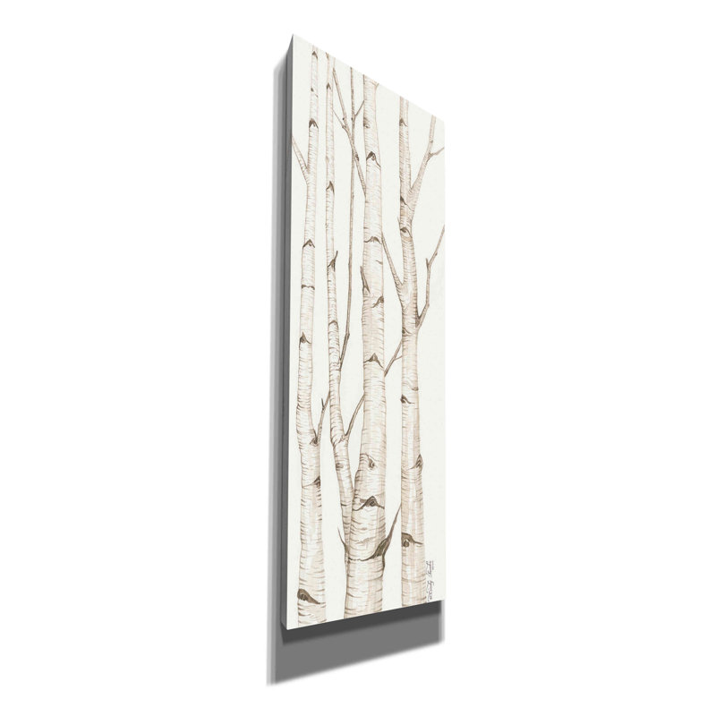 «Kinbrae Birch Trees I» par Cindy Jacobs - impression panoramique sur toile tendue, H 36 po x l 12 po x P 1,5 po