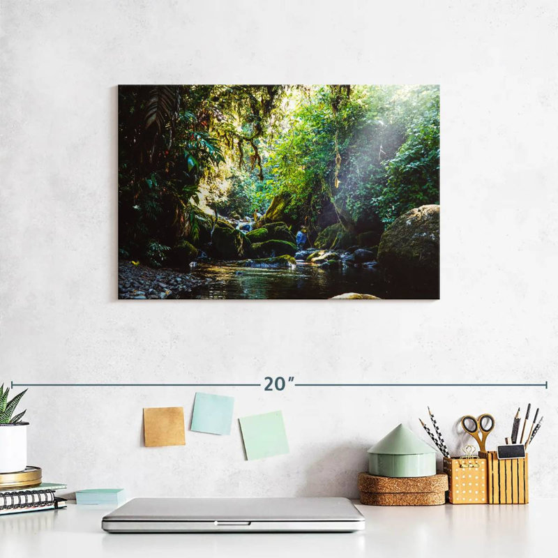 Alvord Forest In Panama, 8" H x 12" W