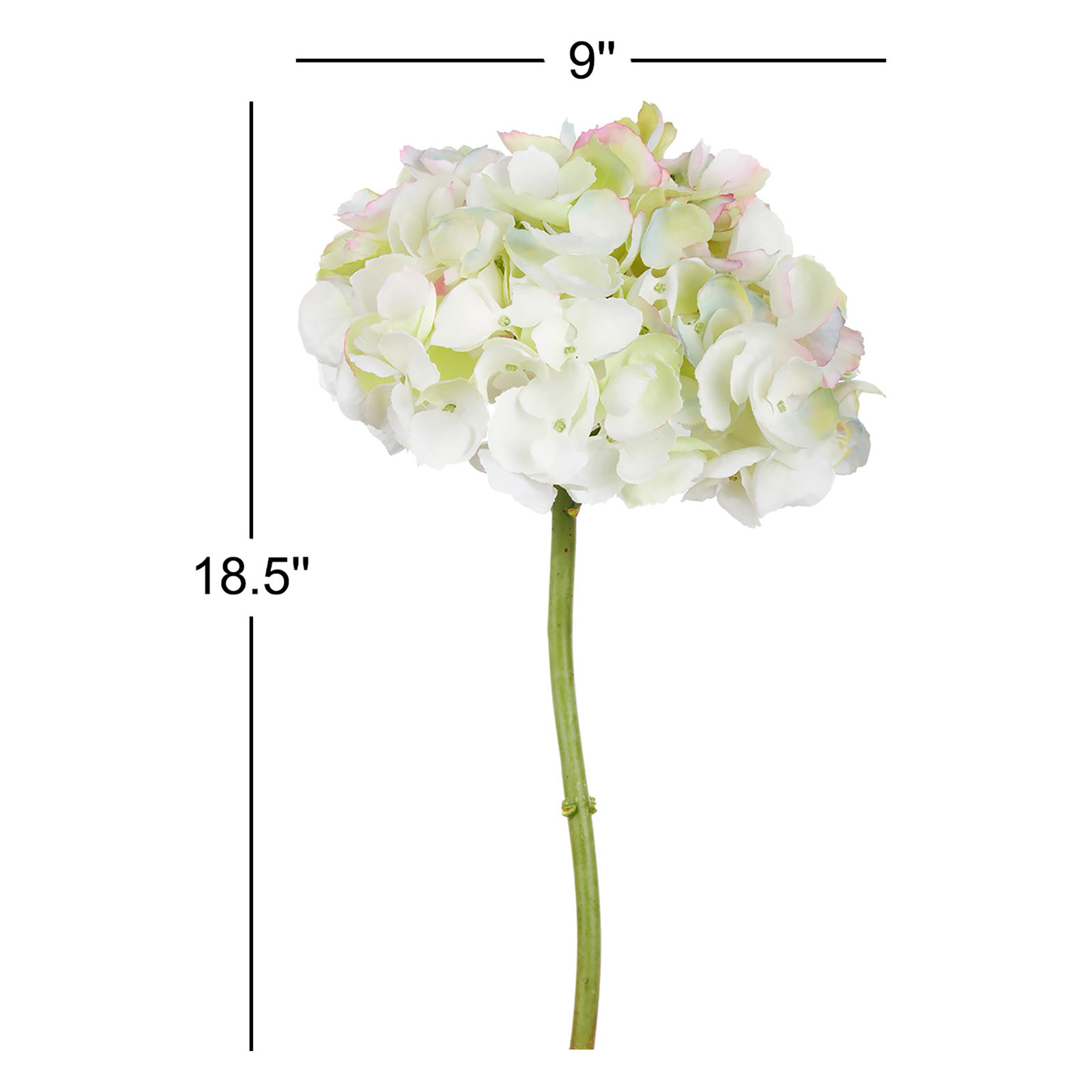 Hydrangea Floral Stems