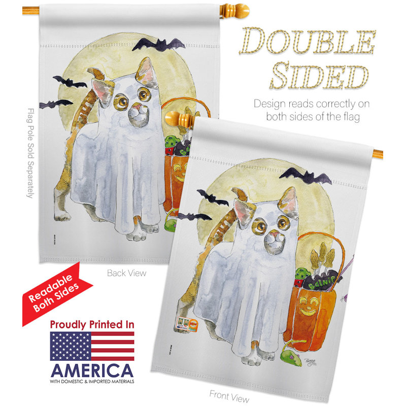 Drapeau de maison à 2 côtés en polyester fantôme 40 x 28 po