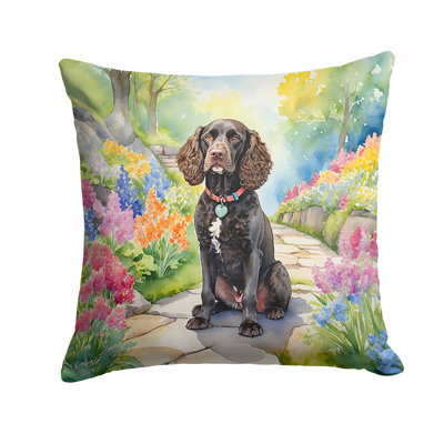 Spring Path Other/No Pattern Indoor/Outdoor Throw Pillow