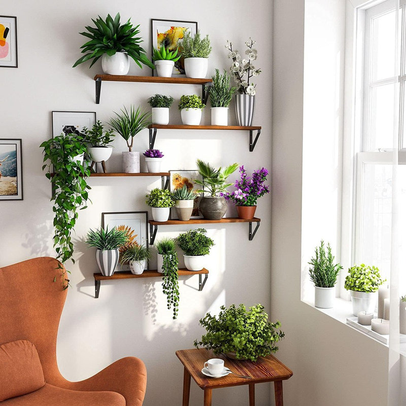 Ensemble de 5 tablettes flottantes en bois noyer de 24 po pour la chambre à coucher et la maison