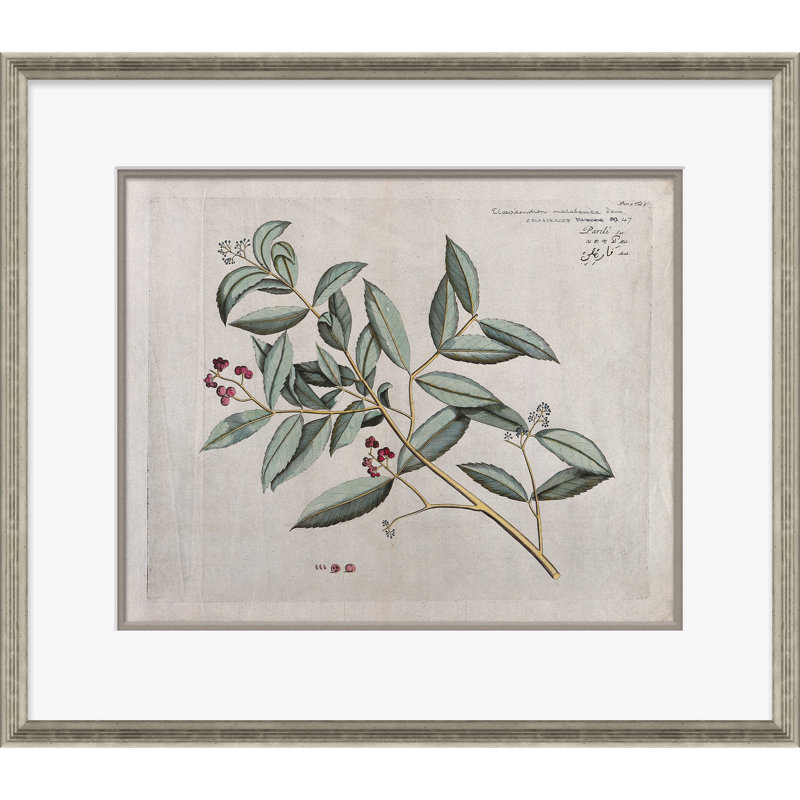 Malaberica (Colored) Framed Watercolour Painting Print by Paul Cezanne