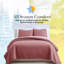 Ensemble de courtepointe surdimensionnée Vilano de Southshore Fine Linens, literie matelassée légère en microfibre doublement brossée et 2 taies d'oreiller king, king/california king, Marsala-1368851802-1368851786