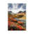 Wrapped Canvas selected