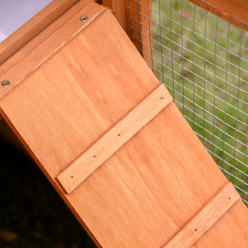 Duwayne Weather Resistant Small Animal Hutch