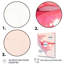 «Pink Pastel Pout Lips» sur toile-1518310529-1518310534
