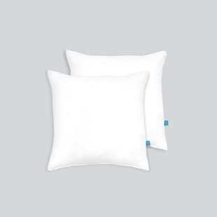 Hidoon Pillow Insert, Cushion Inserts Pillow Polyester Filling Down Cushion  Inserts Decorative Throw Pillow Inner Stuffer Square Rectangular Sofa Couch  Cushion Stuffing (White, 12x20Inch(30x50CM)) : : Home