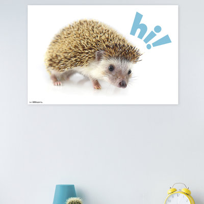 Impression sur papier hedgehog-hi
