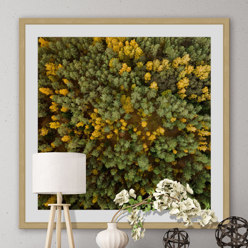Karolis Janulis - Single Picture Frame Print, 51 cm H x 51 cm W x 3.81 cm D
