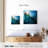 Brampt Curious Dolphin-109394594