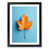 Black Framed selected