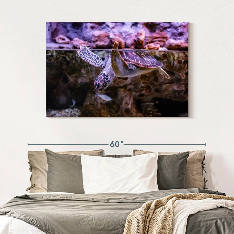 Brampt Turtle Aquarium, 32" H x 48" W