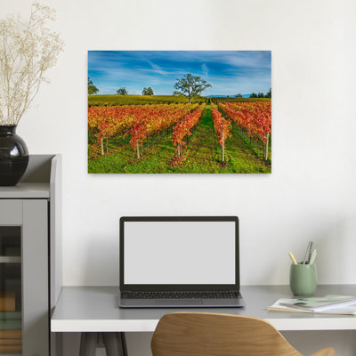 Autumn Vineyard At Napa Valley California Usa Abstract Contemporary Landscape Nature Art