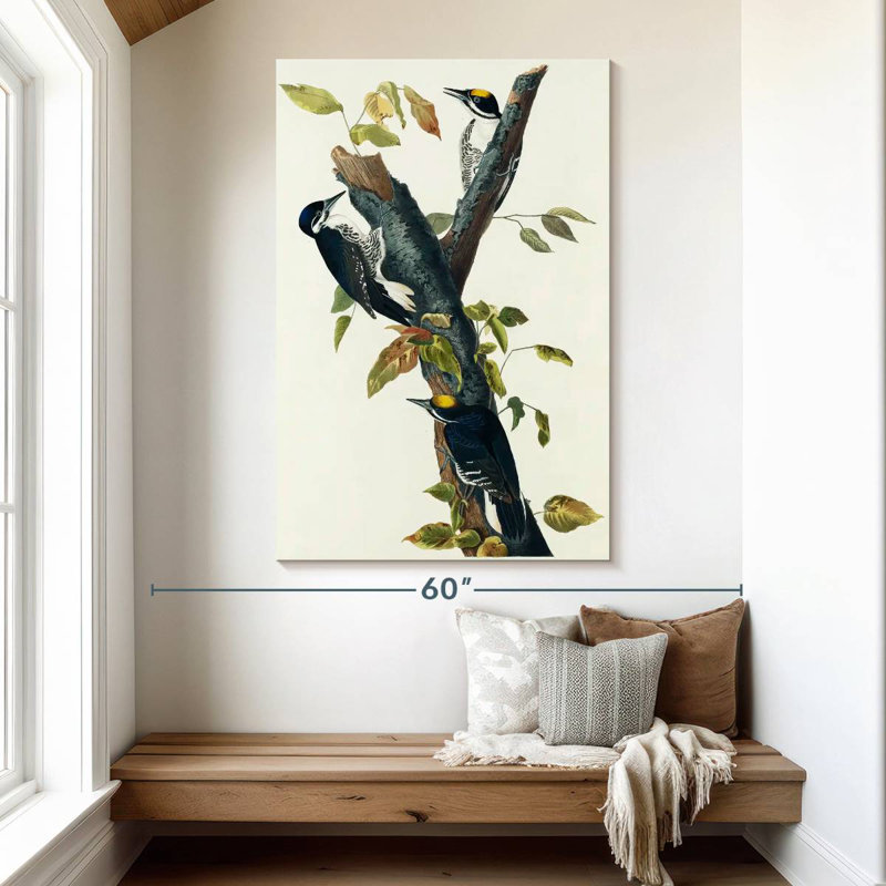Keiri Three-Toed Woodpecker, 51" H x 34" W