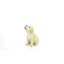 Chiot Labrador jaune