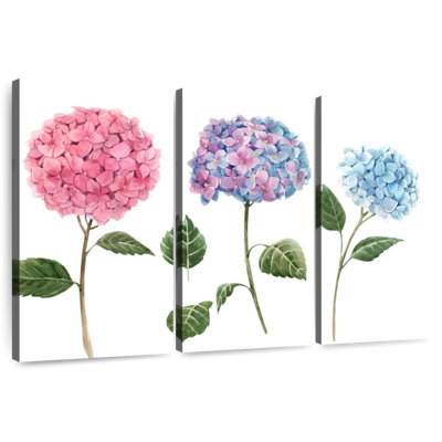 Harnek aquarelle fleurs d'Hortensia