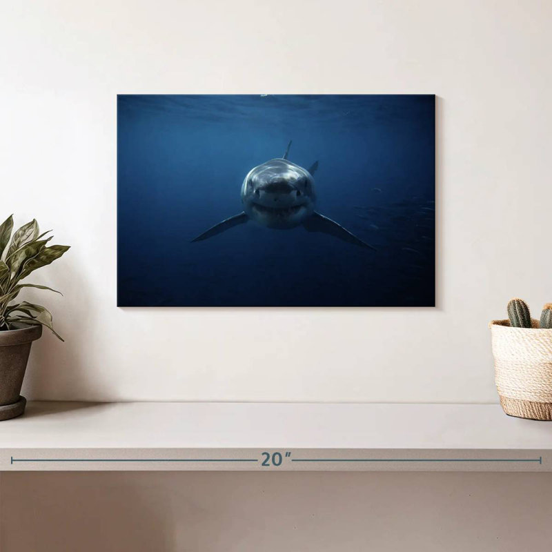 Brampt Shark Stalking, 8" H x 12" W