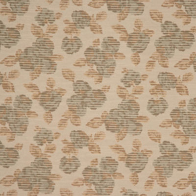 Caraway Seed Fabric