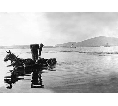 « donkey cart-irlande », reproduction de photo