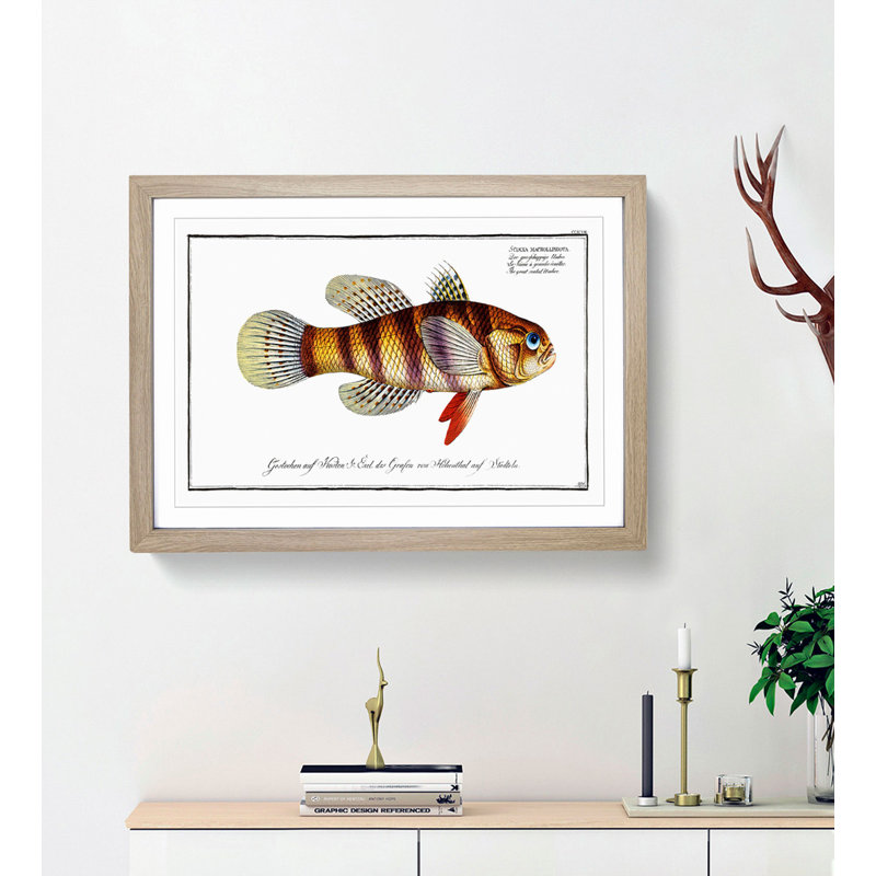 Great-Scaled Umber Fish by M.E. Bloch - Framed Print, 36cm H x 48cm W x 2cm D, Oak Framed